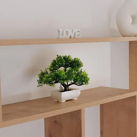 Apartment Harmony In