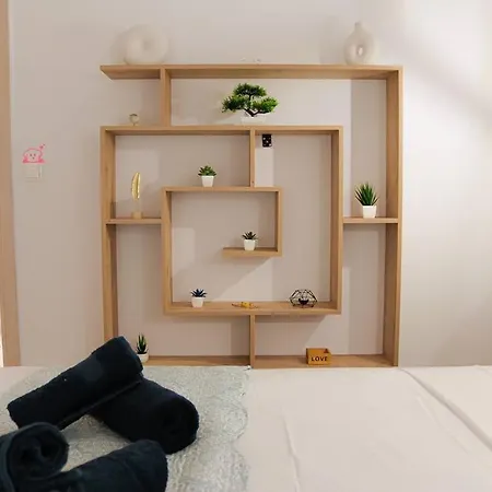 Apartment Harmony In *
